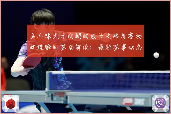 乒乓球天才向鹏的成长之路与赛场辉煌瞬间赛场解读：最新赛事动态与深度分析