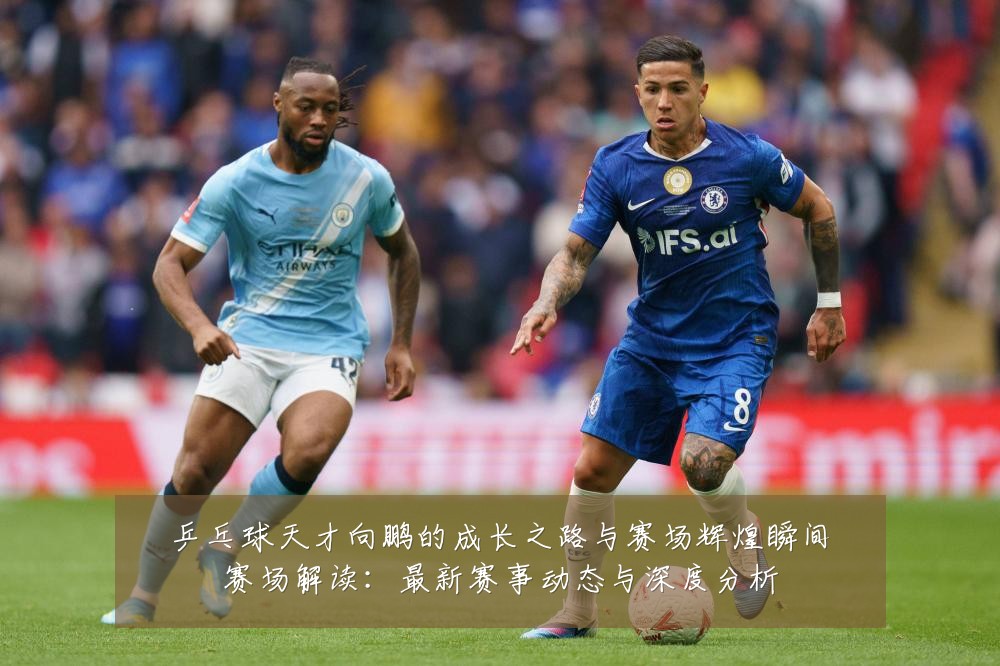 乒乓球天才向鹏的成长之路与赛场辉煌瞬间赛场解读:最新赛事动态与深度分析