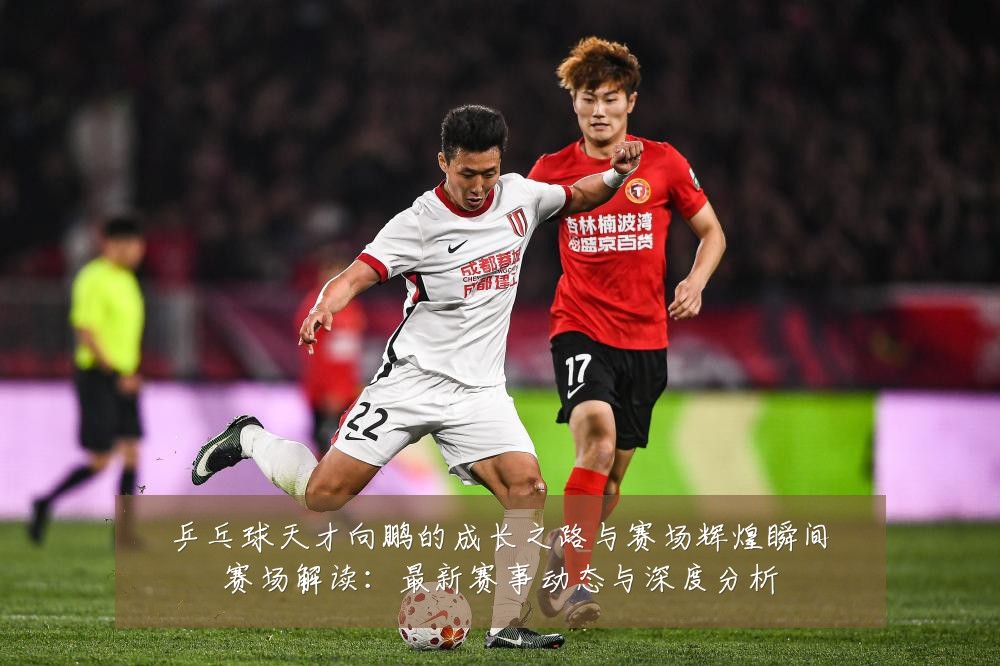 乒乓球天才向鹏的成长之路与赛场辉煌瞬间赛场解读:最新赛事动态与深度分析